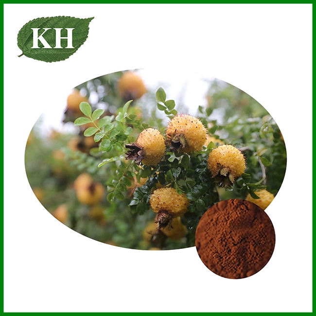 Rosa Roxburghii Extract